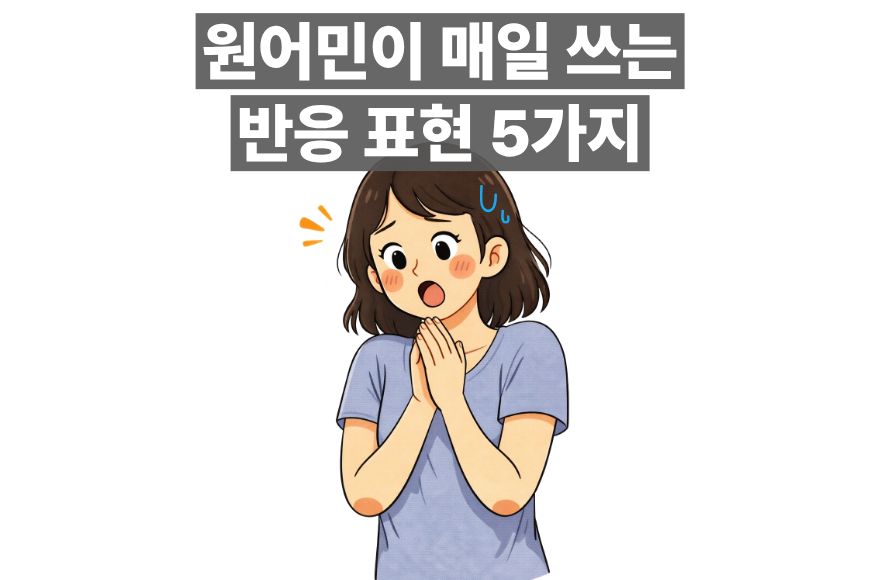 <br />
<b>Warning</b>:  Undefined variable $title in <b>/home/blog.skybel.co.kr/tag/list.php</b> on line <b>87</b><br />
